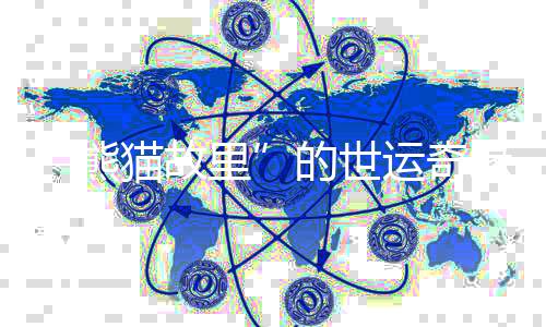 “熊猫故里”的世运奇缘：像爱大熊猫一样爱中国的一切