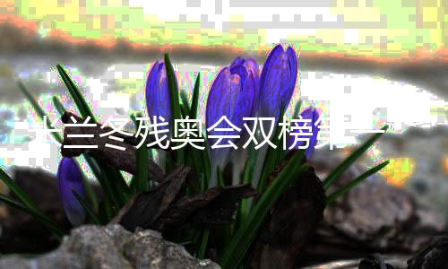 米兰冬残奥会双榜第一 中国残奥冰雪运动书写新章