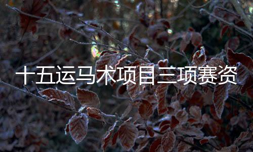十五运马术项目三项赛资格赛落幕 陕西队晋级决赛