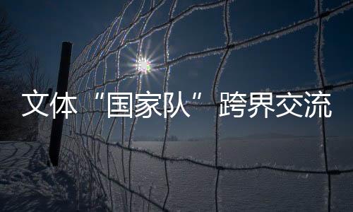 文体“国家队”跨界交流——坚定文化自信 积蓄精神动能