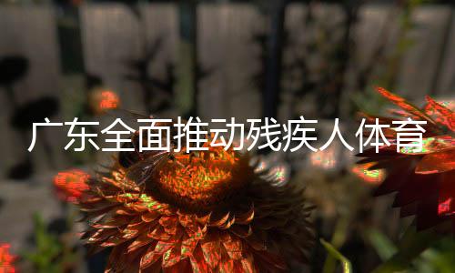 广东全面推动残疾人体育事业高质量发展 残疾人运动佳绩不断