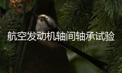 航空发动机轴间轴承试验机
