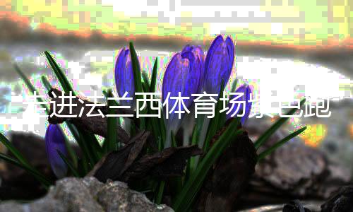 走进法兰西体育场紫色跑道,千分秒之差何以呈现?