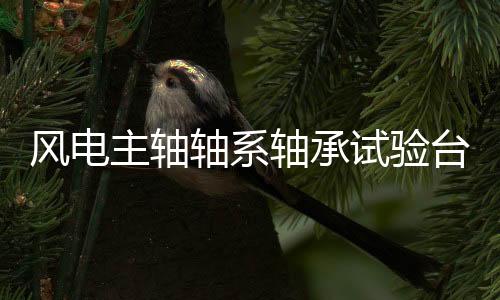 风电主轴轴系轴承试验台架