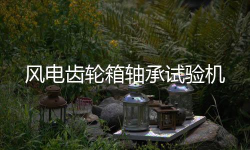 风电齿轮箱轴承试验机