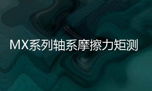MX系列轴系摩擦力矩丈量仪