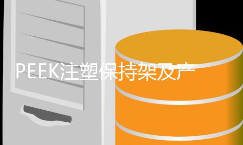 PEEK注塑保持架及产品